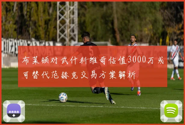 布莱顿对武什科维奇估值3000万或可替代范赫克交易方案解析
